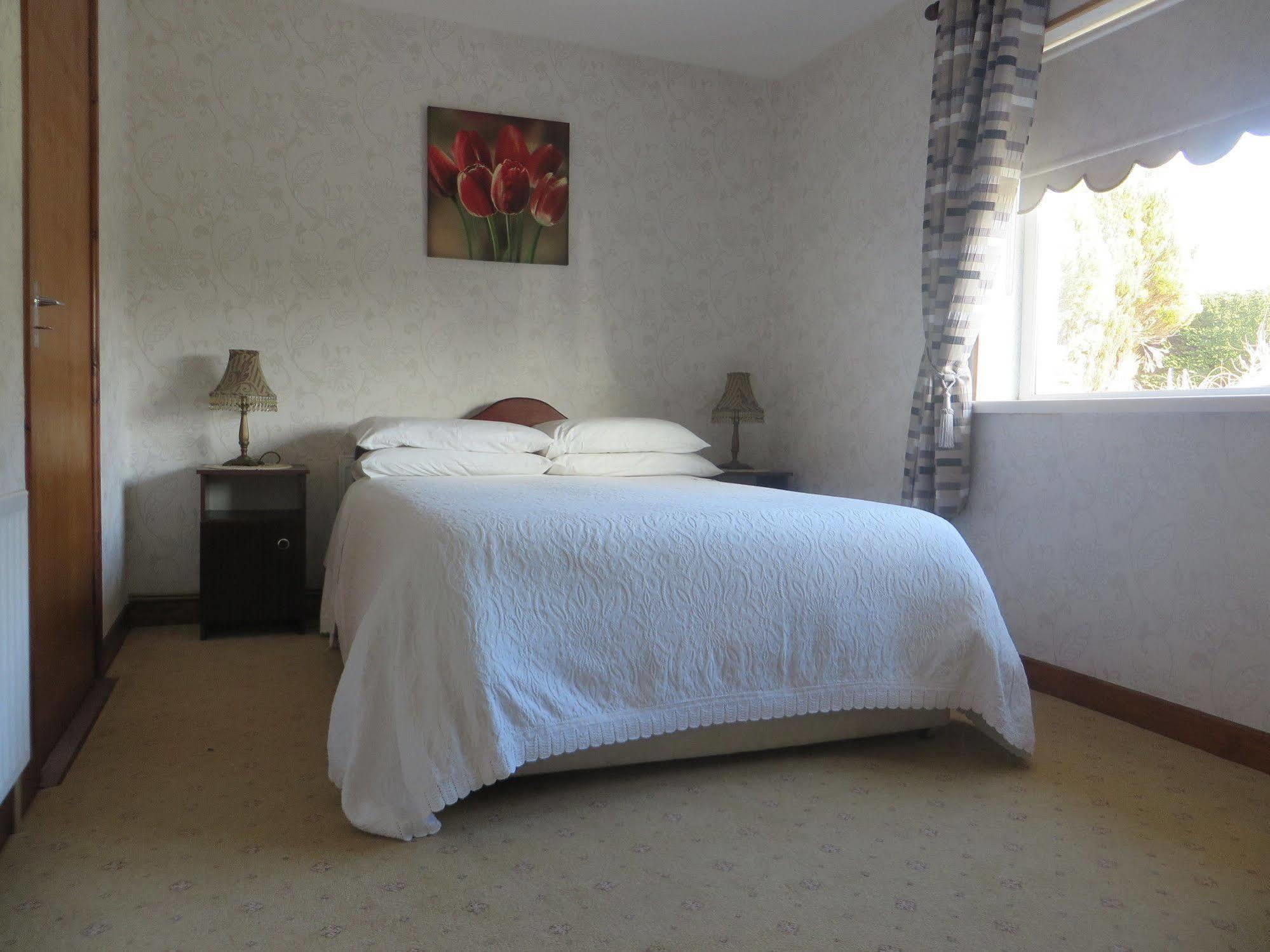 Dawn House B&B Kilmeaden Eksteriør bilde